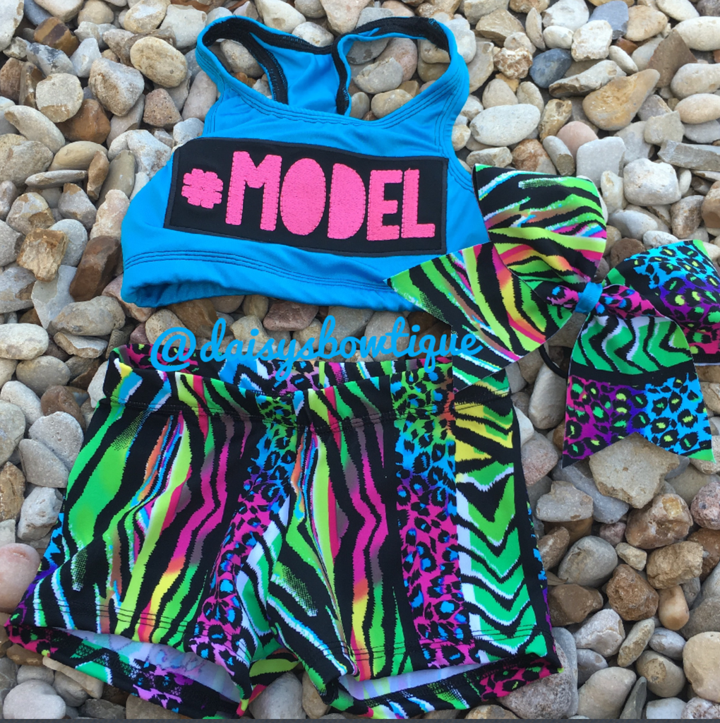 Model Set